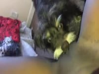 Video do Marcelo lambida na negra 2